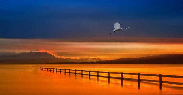 Beautiful Landscapes by Margaret Morgan