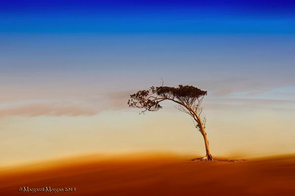 Beautiful Landscapes by Margaret Morgan