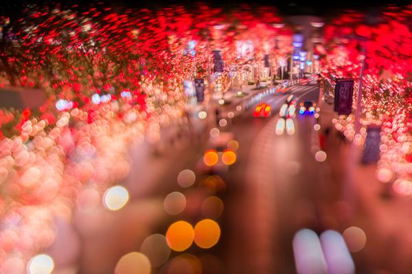 Photography by Takashi Kitajima