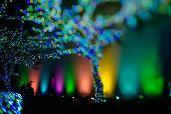 Photography by Takashi Kitajima