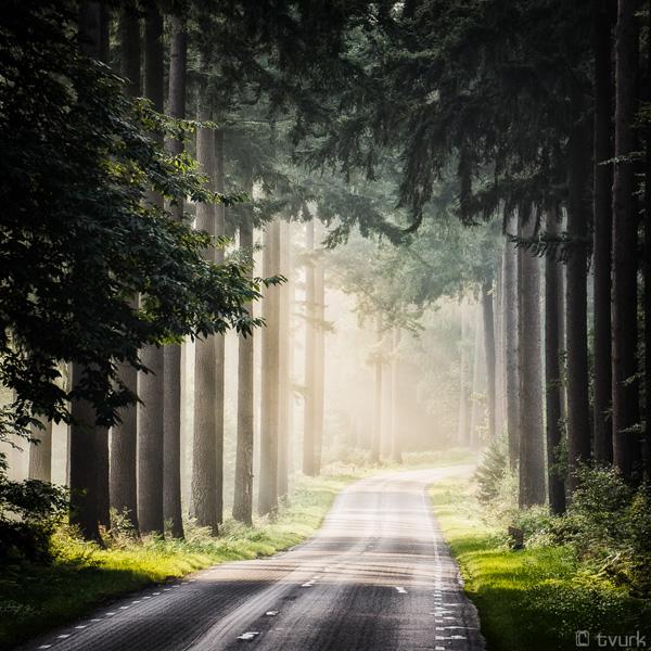 Photography by Tvurk
