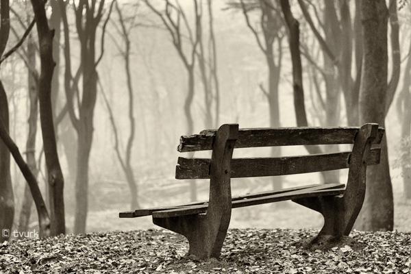 Photography by Tvurk