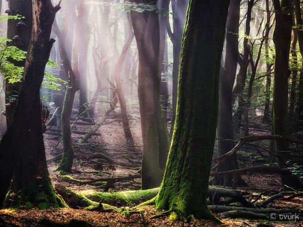 Photography by Tvurk