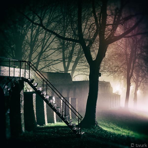 Photography by Tvurk