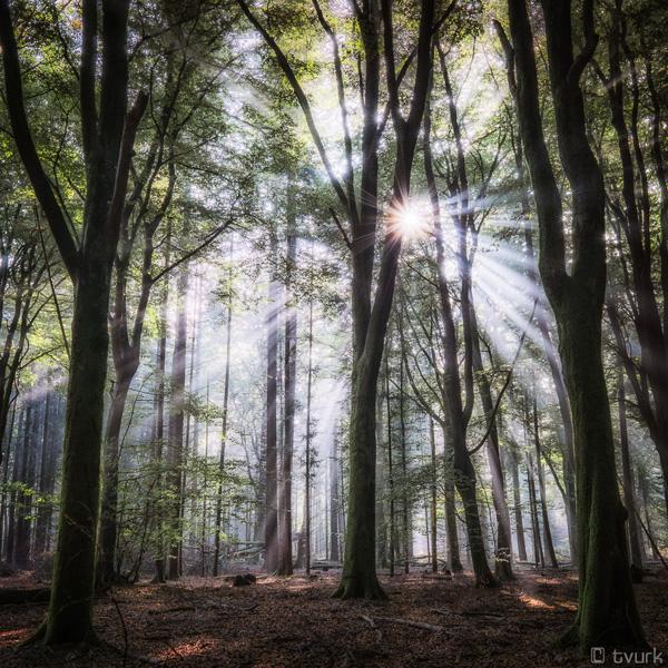 Photography by Tvurk