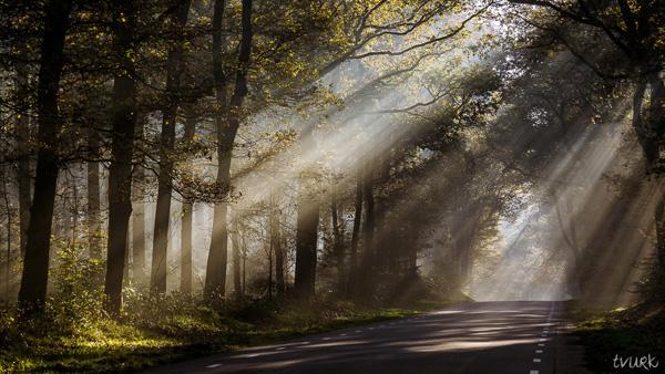 Photography by Tvurk