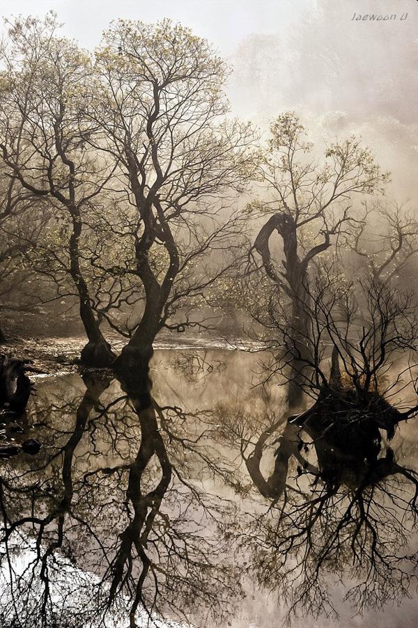 Landscape Photography by Jaewoon u