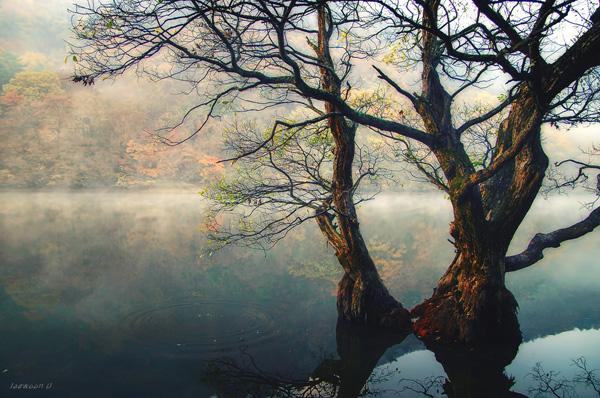 Landscape Photography by Jaewoon u