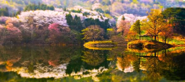 Landscape Photography by Jaewoon u
