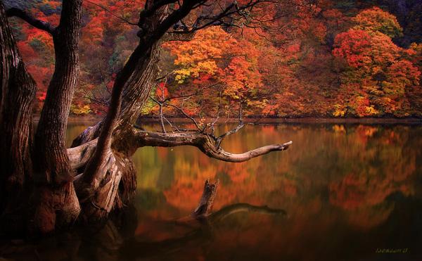 Landscape Photography by Jaewoon u