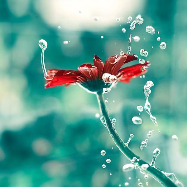 Photography by Ashraful Arefin