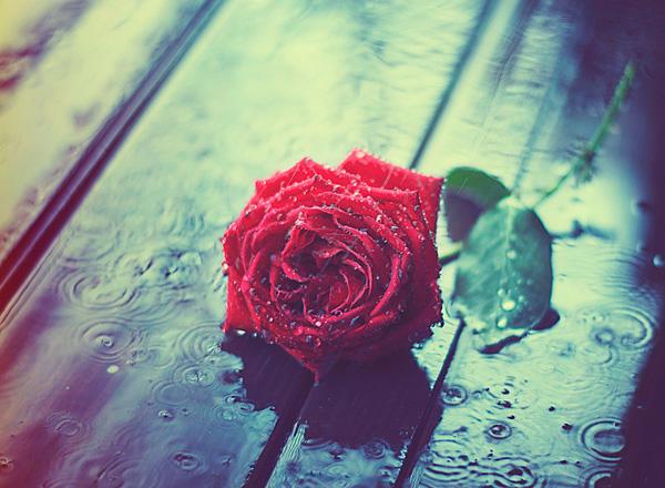 Photography by Ashraful Arefin