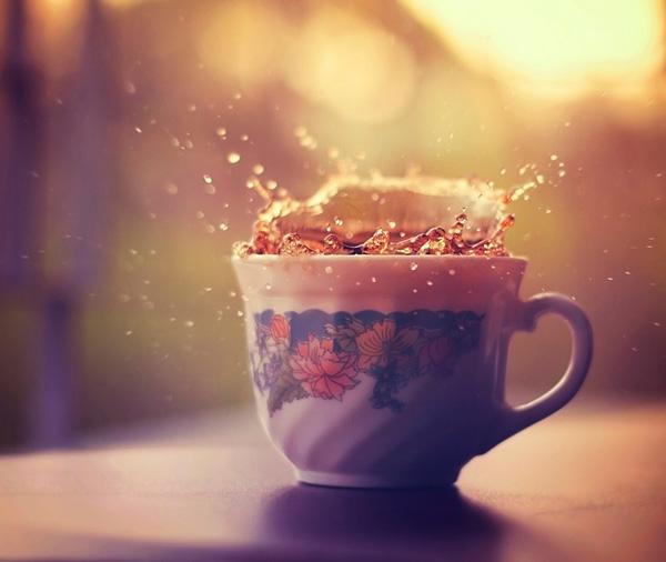 Photography by Ashraful Arefin