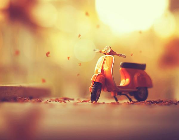 Photography by Ashraful Arefin