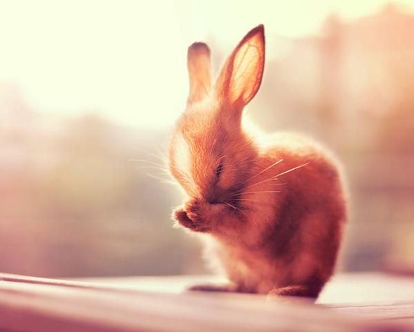 Photography by Ashraful Arefin