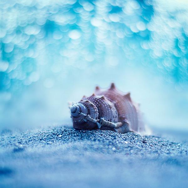 Photography by Ashraful Arefin