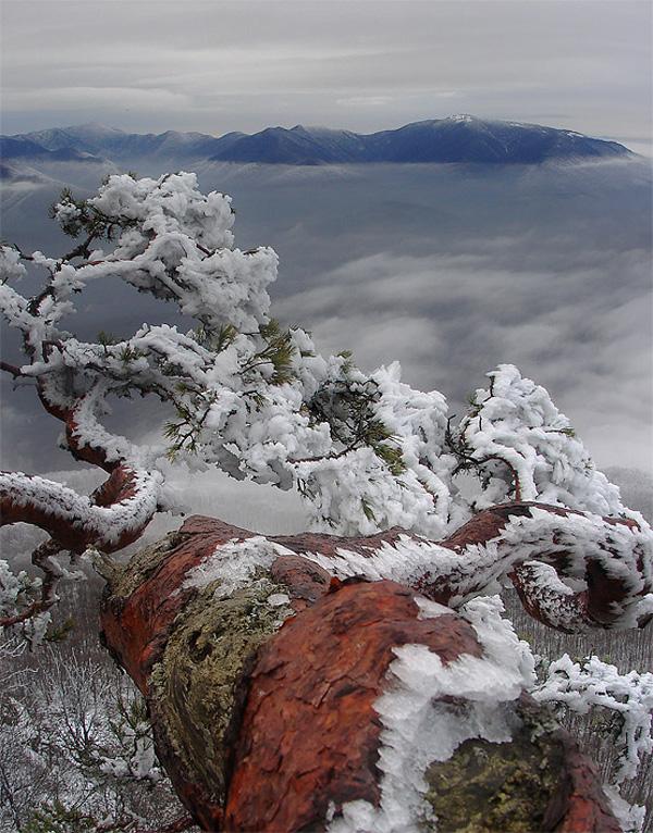 65+ Awesome Winter Landscape Photos