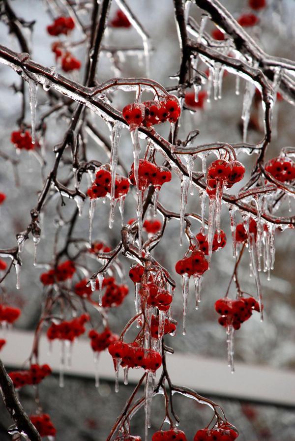 65+ Awesome Winter Landscape Photos