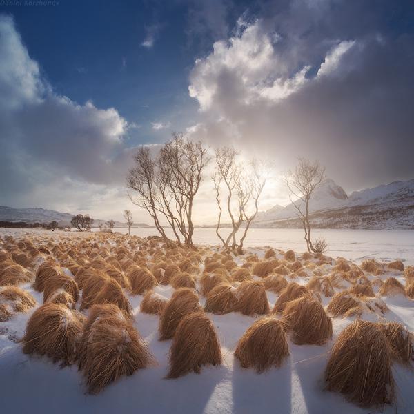 65+ Awesome Winter Landscape Photos