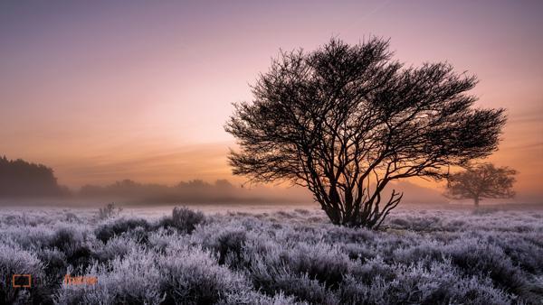 65+ Awesome Winter Landscape Photos