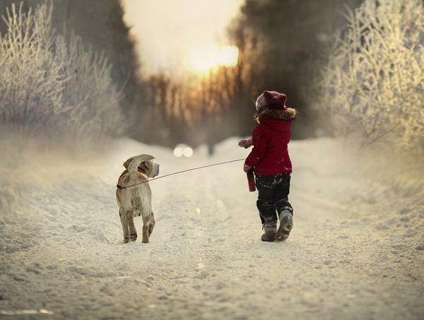 65+ Awesome Winter Landscape Photos