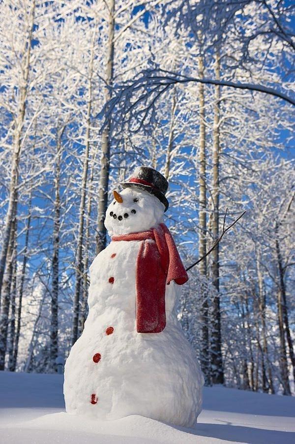 65+ Awesome Winter Landscape Photos