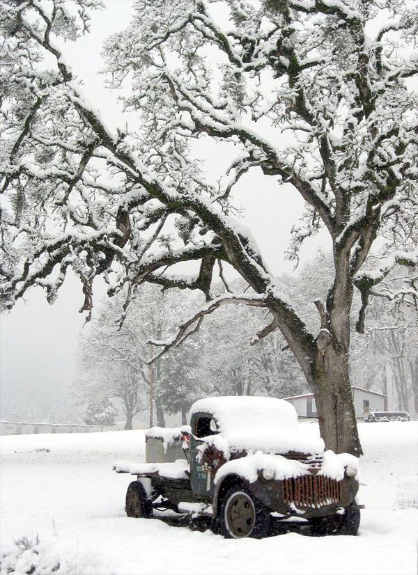 65+ Awesome Winter Landscape Photos