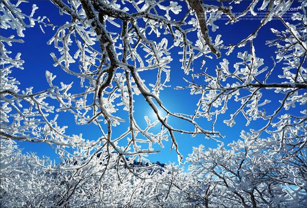 65+ Awesome Winter Landscape Photos
