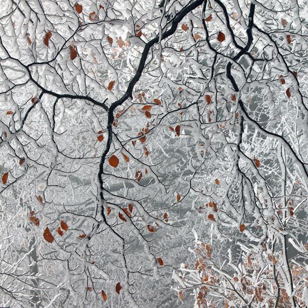 65+ Awesome Winter Landscape Photos