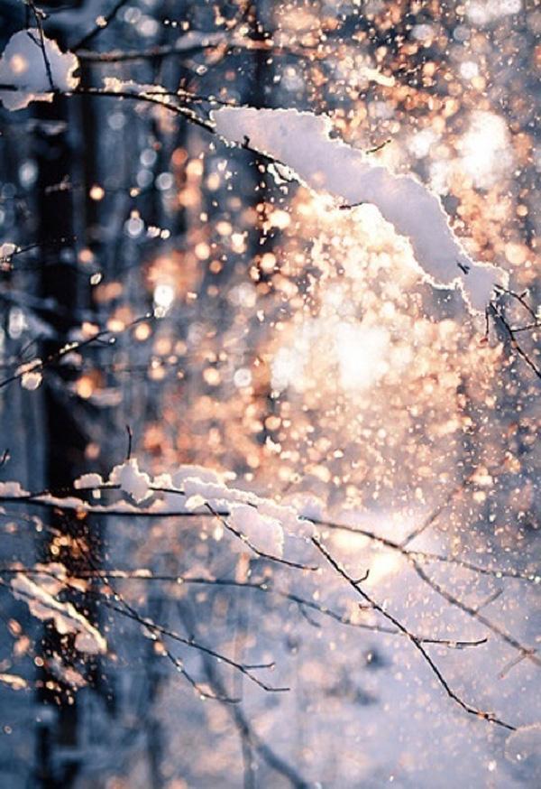 65+ Awesome Winter Landscape Photos