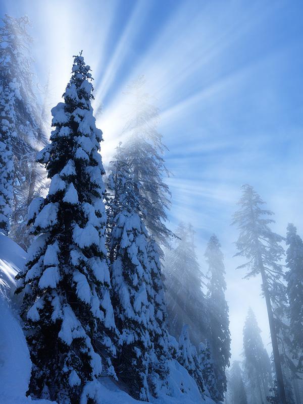 65+ Awesome Winter Landscape Photos