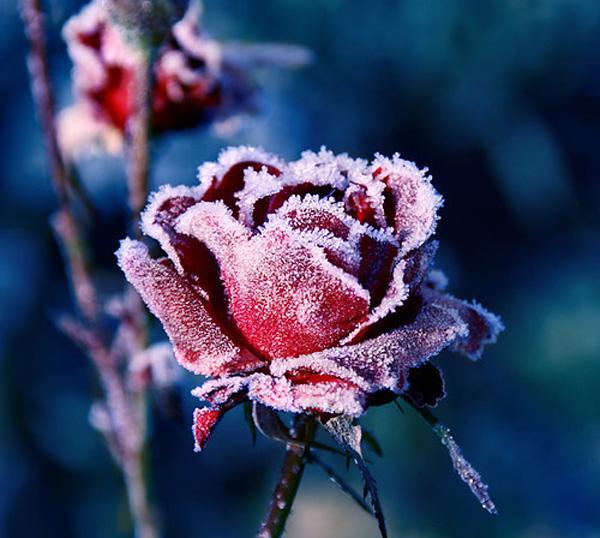 65+ Awesome Winter Landscape Photos