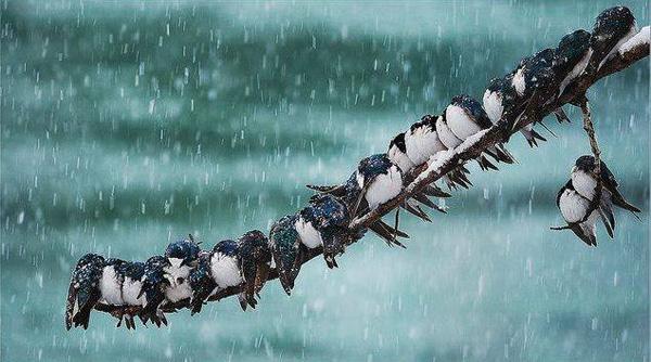 65+ Awesome Winter Landscape Photos