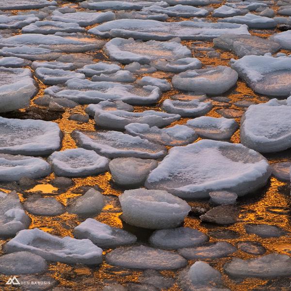 Nature Photography by Ben Babusis