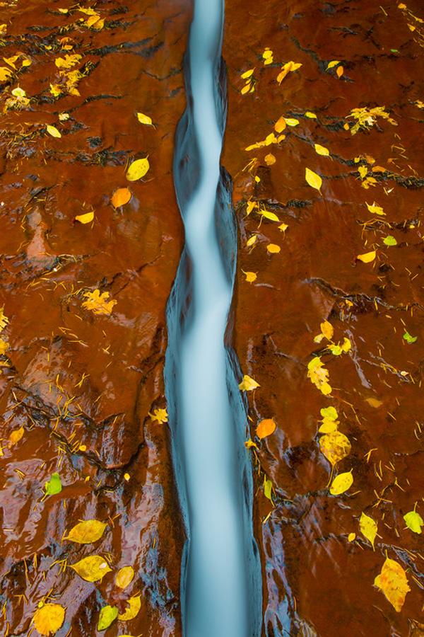 Nature Photography by Ben Babusis