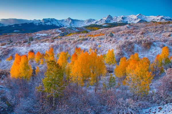 Nature Photography by Ben Babusis