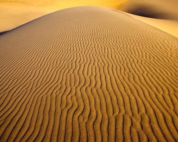 Nature Photography by Ben Babusis