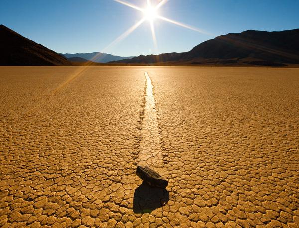 Nature Photography by Ben Babusis