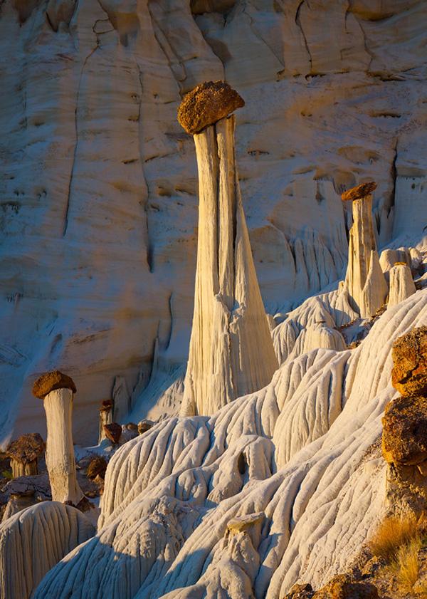 Nature Photography by Ben Babusis
