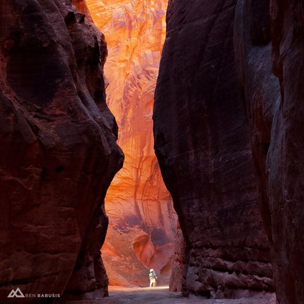 Nature Photography by Ben Babusis