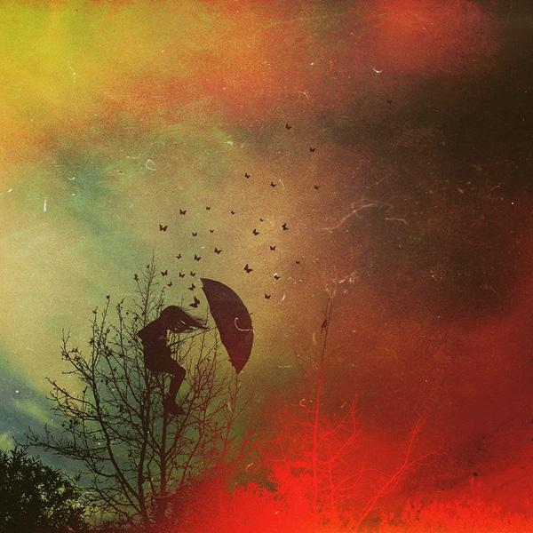 Mobile Photography by Ali Jardine