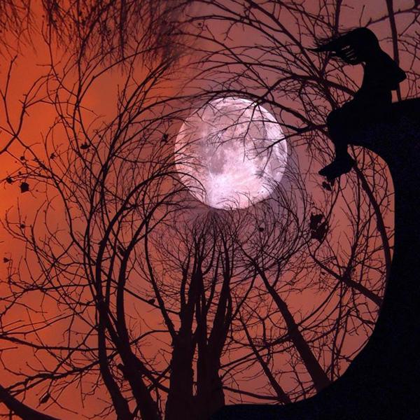 Mobile Photography by Ali Jardine