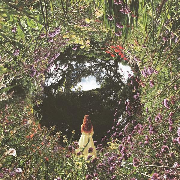Mobile Photography by Ali Jardine