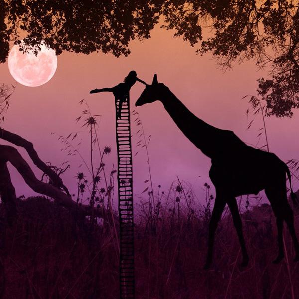 Mobile Photography by Ali Jardine