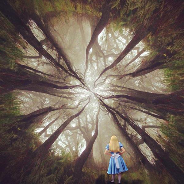 Mobile Photography by Ali Jardine