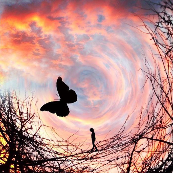Mobile Photography by Ali Jardine