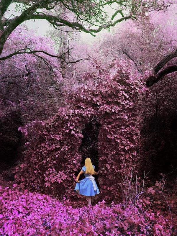 Mobile Photography by Ali Jardine