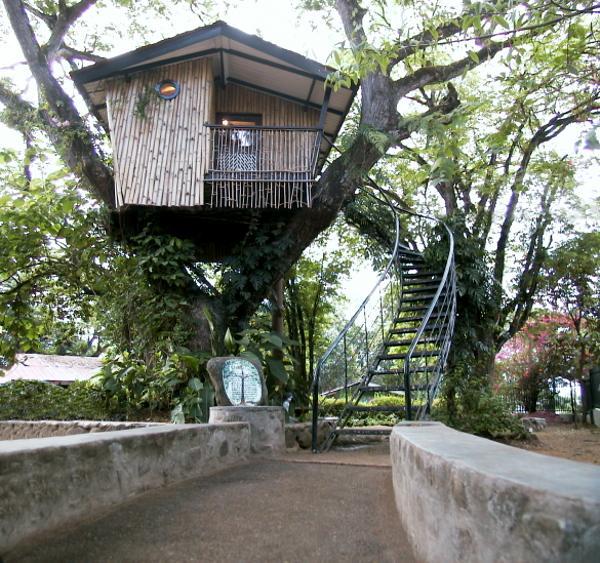 Tree Houses by Pete Nelson