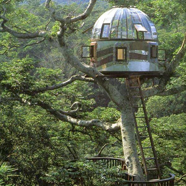 Tree Houses by Pete Nelson