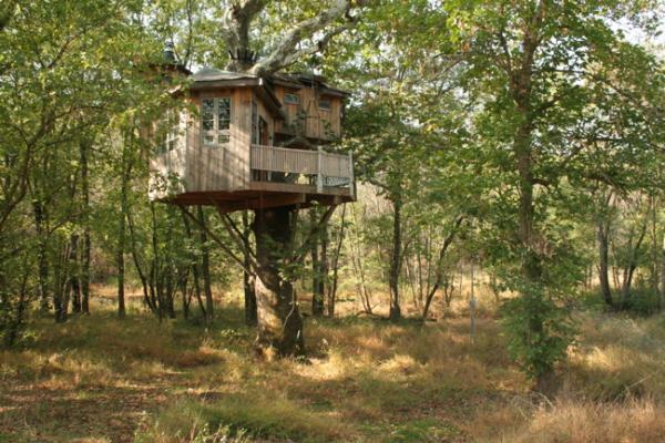 Tree Houses by Pete Nelson